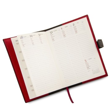 Leren agenda met verwisselbare plannerinzet intern