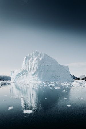 Berdino leren tassen - microplastic en macroplastic