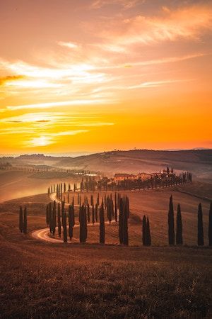 leren tassen uit Italië